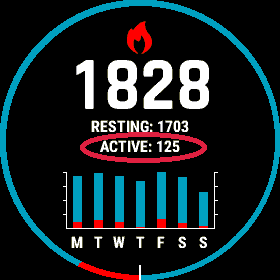 Garmin fenix 2024 5 calories