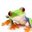 frogbmth