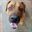 Heine_De_Villiers
