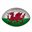 WelshLad