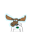 Alcestronaut