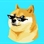 dogeonaroof