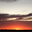 1492811