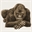 Gorilla Lover