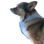 Gmetzel