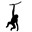 JipM