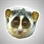 Slow Loris