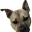 SnilloC