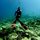 Reef852