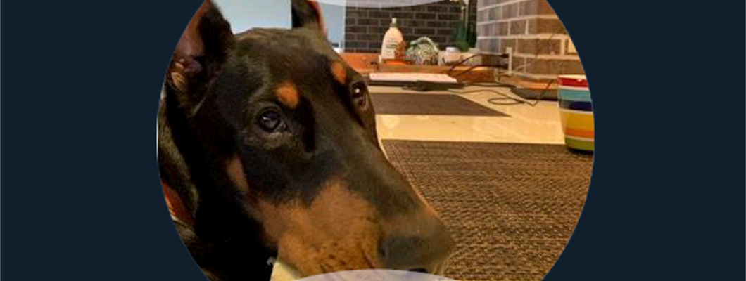 A Whole New World of Graphics with Connect IQ 4