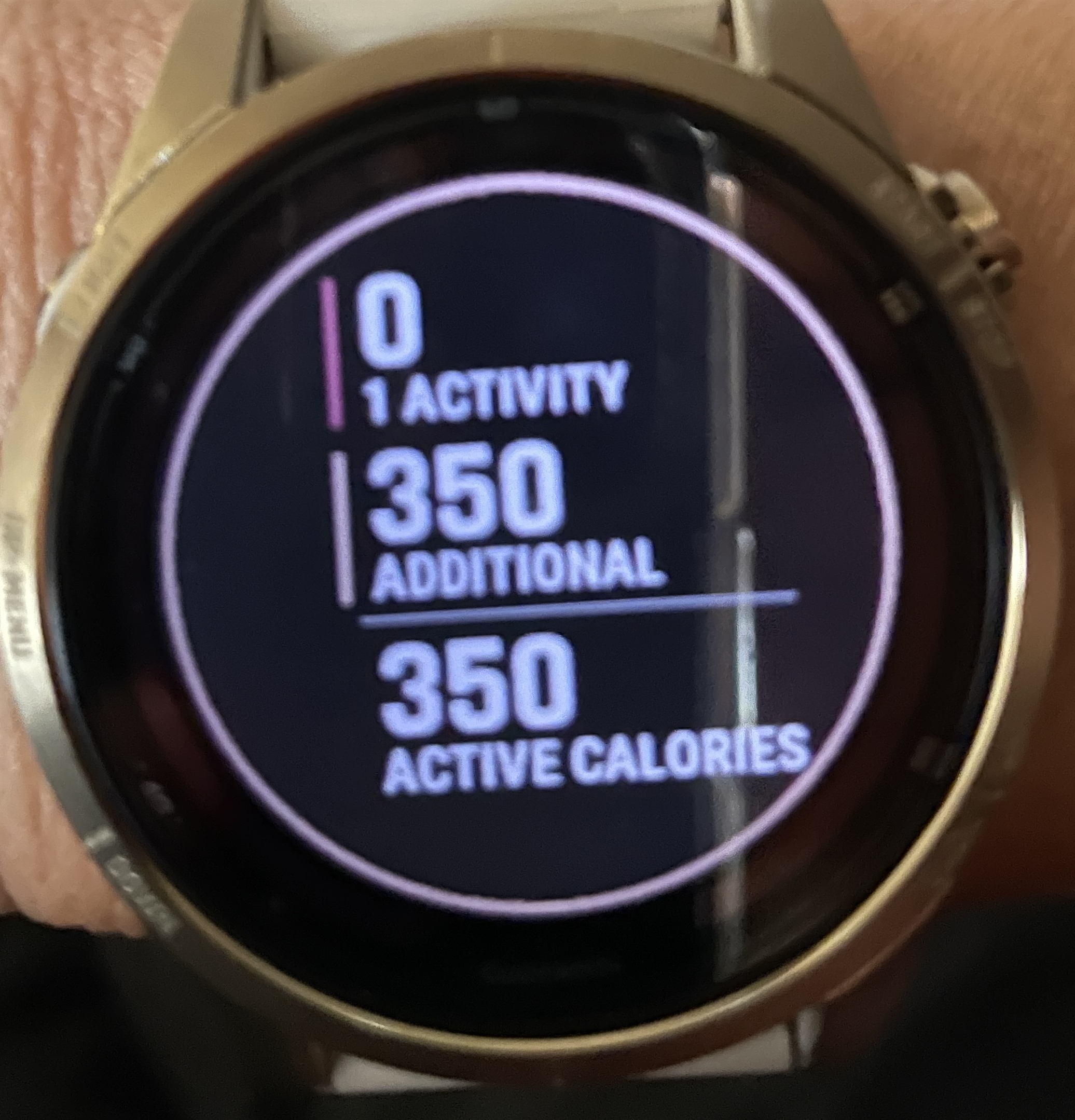 Calorie counter online garmin