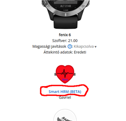 Hungarian web app name not translated