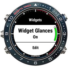 Widget glances garmin new arrivals