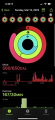 2+ hours of exercise minutes, no move ring calories