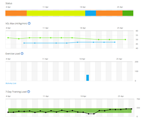 Training Status Extract - only one run has an Exercise Load entry