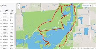 Case 2  -Strava view