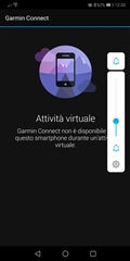 attività virtuale / virtual activity