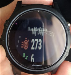 Display Resolution Distorted and Ghosted - Forerunner 945 