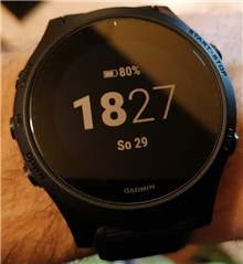 FR945 Face