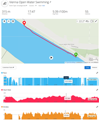 forerunner 945 swimming