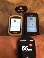 Apple Watch as a heart rate monitor 