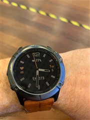 garmin fenix 6x firmware