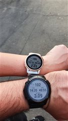 Garmin fenix 6s online pro forum