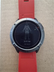 Custom strength workout muscle map empty on watch f nix 6