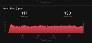 Difference between max daily heart rate and max heart rate of an activity -  fēnix 6 Series - Wearables - Garmin Forums