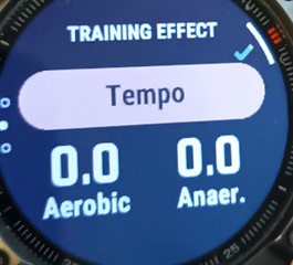 TE 0.0, incorrect label "Tempo"