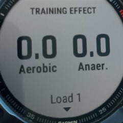 Device, history widget TE 0.0, correct, no label "Tempo"