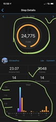 The right record STEPS COUNT.