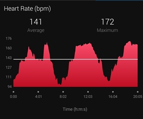 HIIT workout as "cardio"