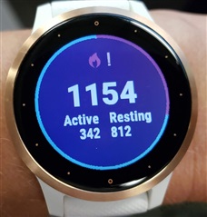 Calories has an exclamation point asking me to do an outside activity even though I already did vivoactive 4 Series Health Wellness Garmin Forums