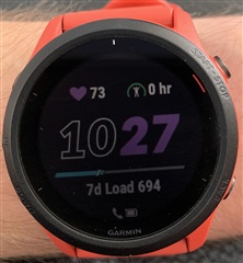 White lines on my garmin's screen, does anyone know why there are