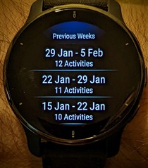 garmin venu 2 plus start activity