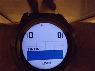 Garmin fenix outlet forum