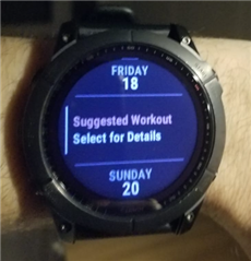 Garmin best sale calendar widget