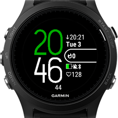 Best garmin watch clearance face vivoactive 3