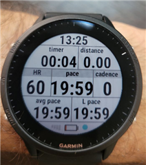 Forerunner 955 12.23 Clearance