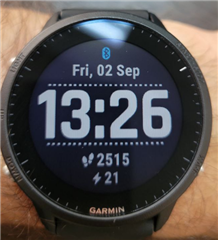 Forerunner 955 12.23 Clearance