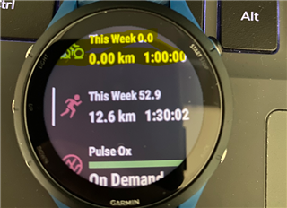 Manual Activity Not Showing in weekly mileage totals Forerunner