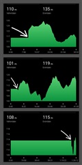 Elevation graph flatlines