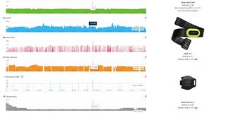 Cadence sensor 2024 2 garmin connect