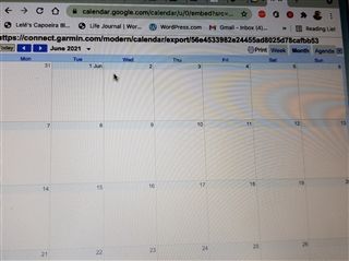 connect calendar shows no events on calendar - Garmin Connect Web Mobile Apps & Web - Garmin Forums