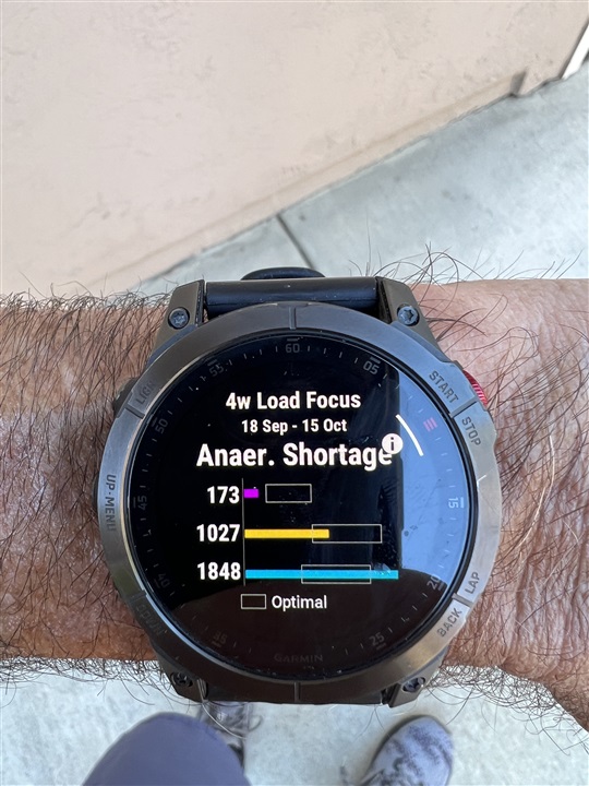 Training Focus and Exercise Load of Garmin Coach workouts