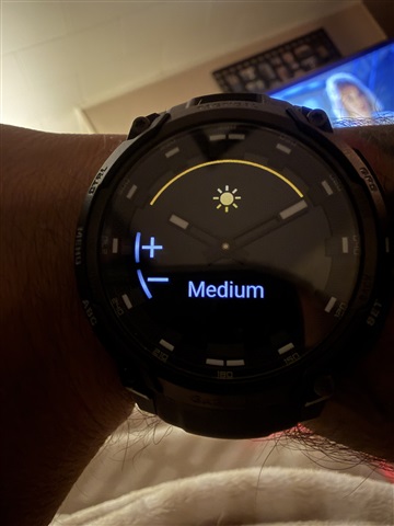 Night Vision Adjustment Bug 12.23 - Instinct 3 - Wearables - Garmin Forums
