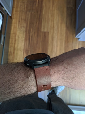 garmin fenix 6x sapphire forum