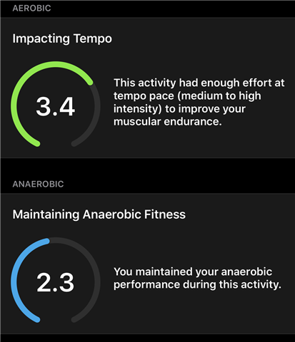 I did 15 minutes of zone 5 cardio. Shouldn't this have an impact on the  anaerobic effect? Am I not getting it right? : r/Garmin