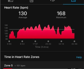 Same Venu But Different Stats On Garmin Connect - Venu - Health 